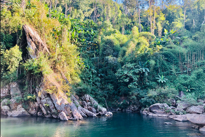 Mường Nhé Nature Reserve in Dien Bien